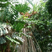 P1080452 tn