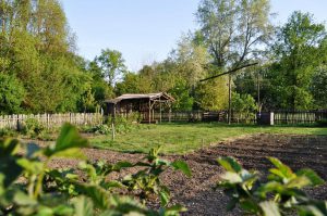 Farm yard