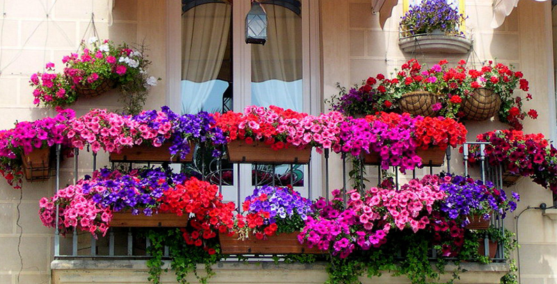 balkon1