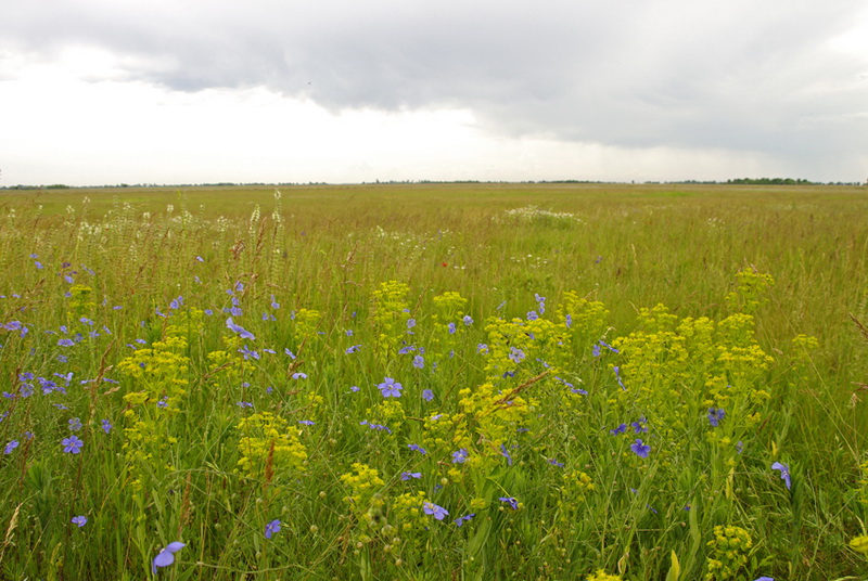 02 Kopancsi outdoor resize