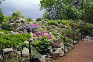 rock garden